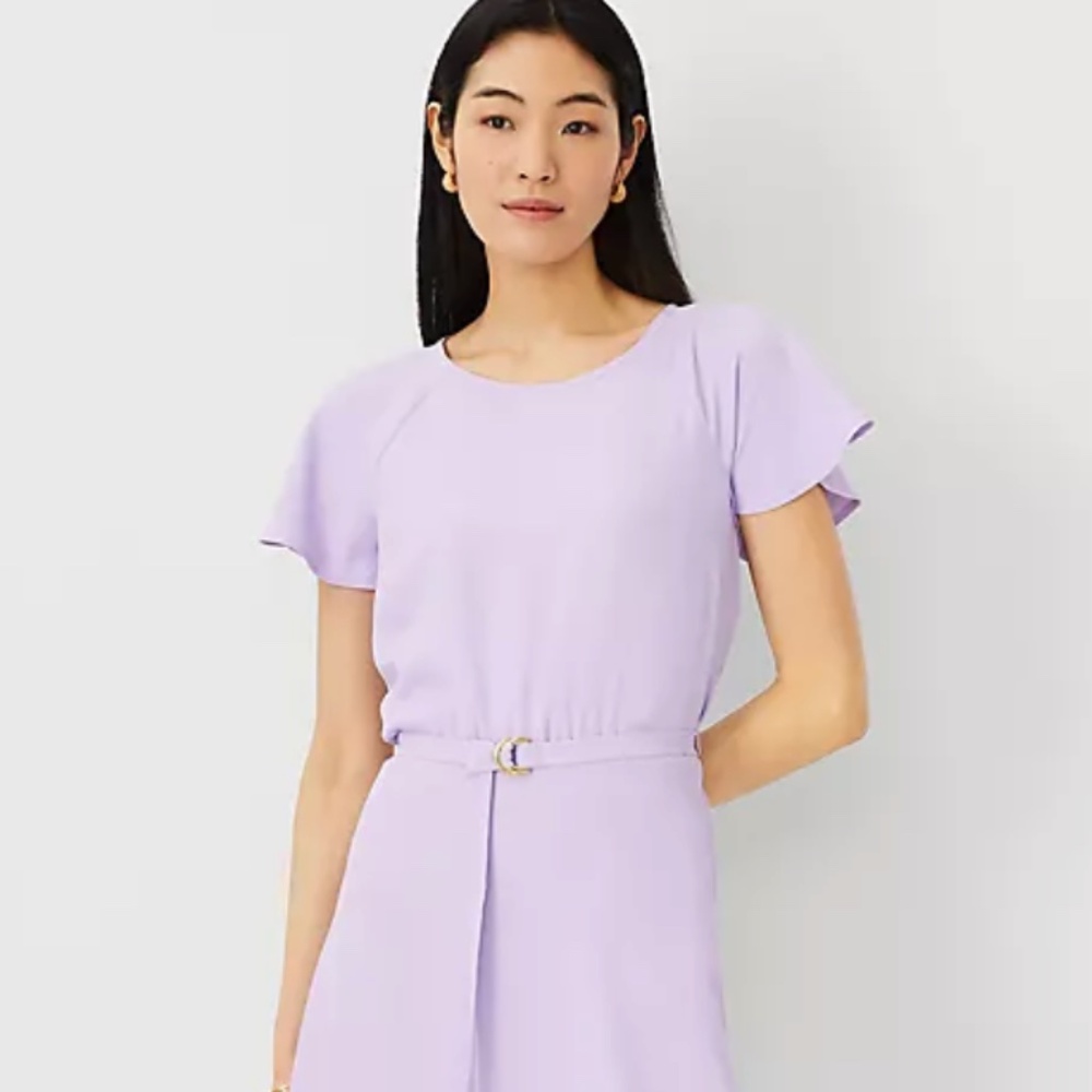 Ann Taylor Purple Fit and Flare Dress